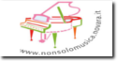 image sponsor 'non solo musica Novara' - linked to nonsolomusica.novara.it